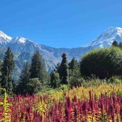 Mountaineering expeditions in India