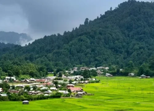How to Reach Ziro Valley: Best Time to Visit, Distance