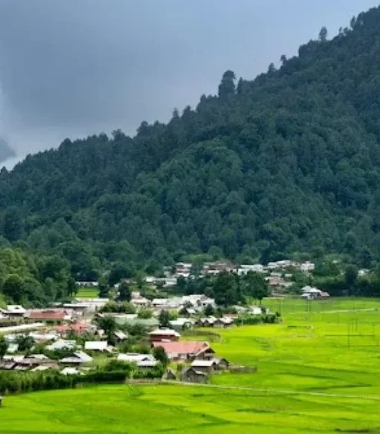 How to Reach Ziro Valley: Best Time to Visit, Distance